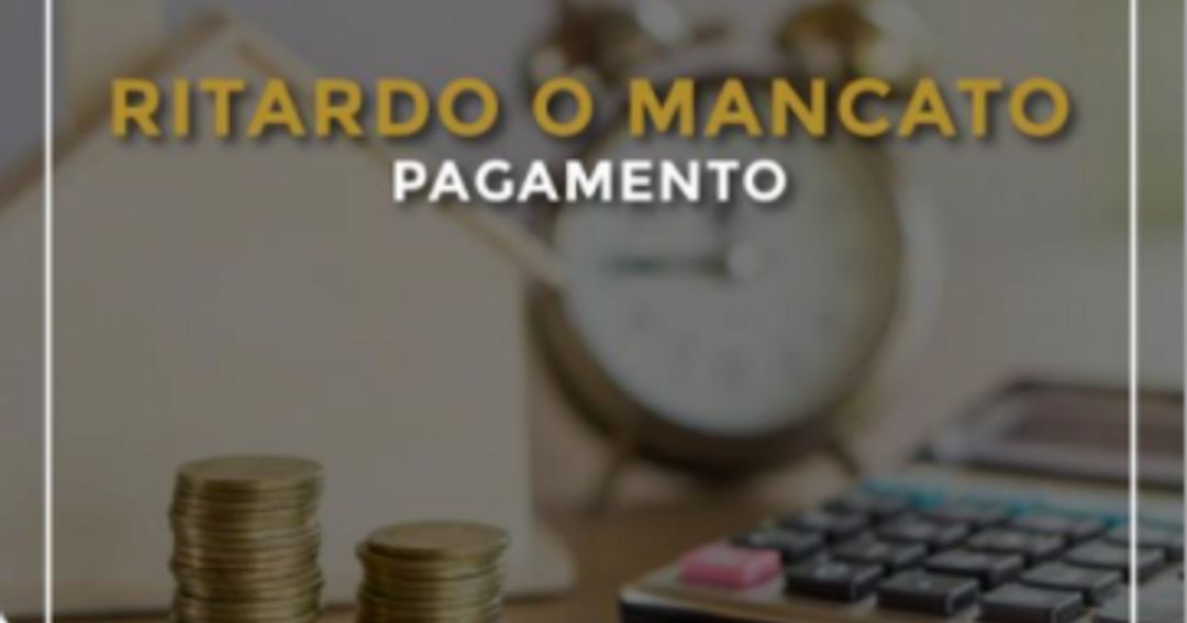 news-image-5ff48b78548da40015d7841b